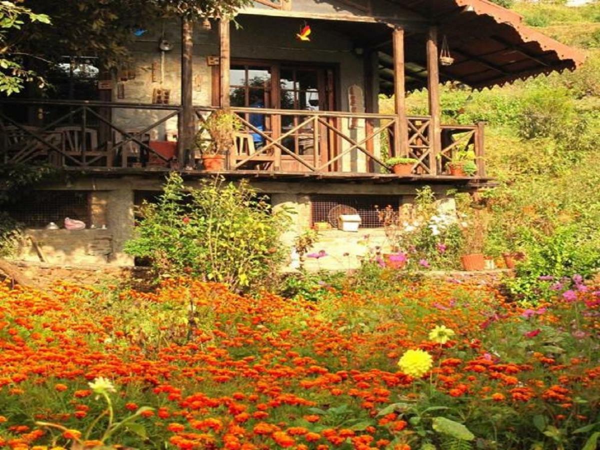 จังเกิล ลอร์ เบิร์ดดิ้ง ลอดจ์ Villa ไนนิตัล ภายนอก รูปภาพ